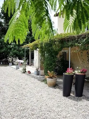 Aux Roses De L'etang Capestang