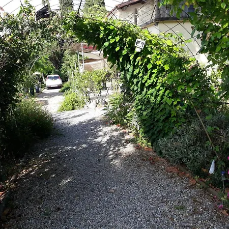 Aux Roses De L'etang Maison d'hôtes *