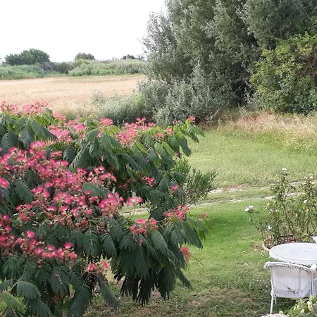Aux Roses De L'etang