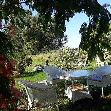 Aux Roses De L'etang