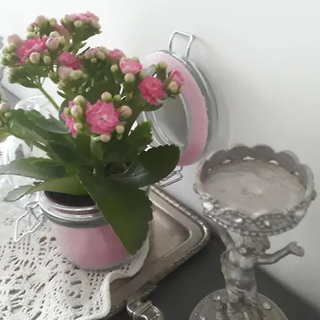 Aux Roses De L'etang Capestang