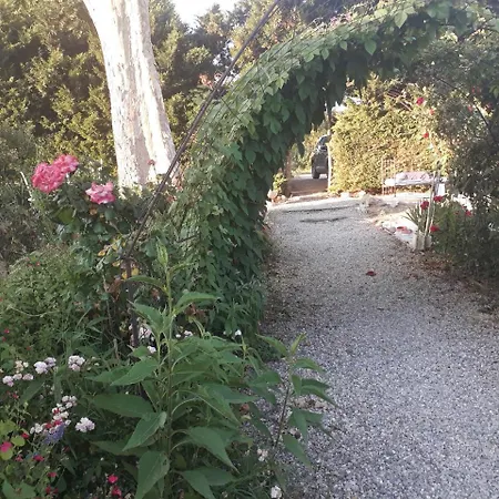 Aux Roses De L'etang