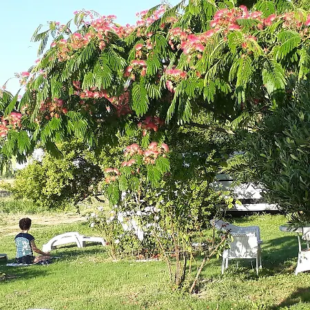 Maison d'hôtes Aux Roses De L'etang *