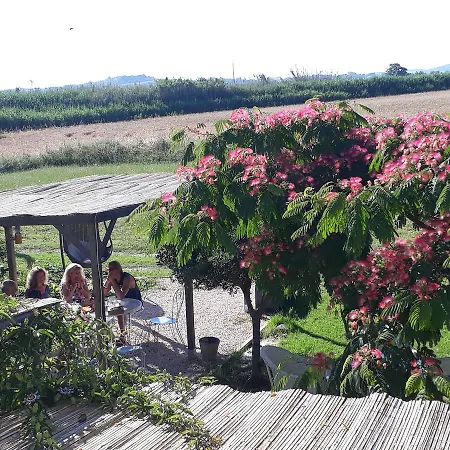 Aux Roses De L'etang Maison d'hôtes *