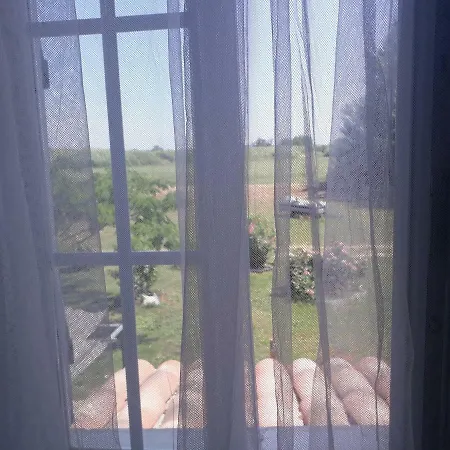 Aux Roses De L'etang * Capestang