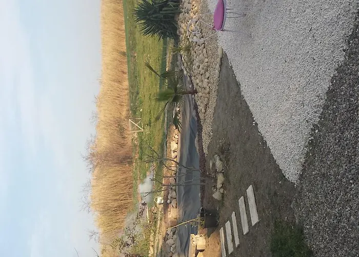 Πανσιόν Aux Roses De L'etang Capestang