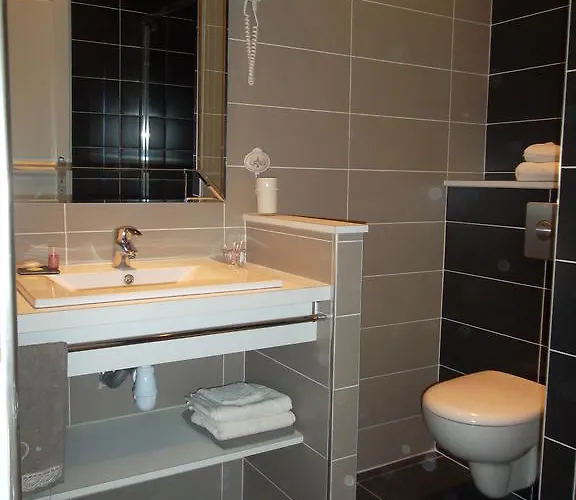 Aux Roses De L'etang Capestang