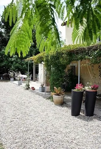 Aux Roses De L'etang Capestang