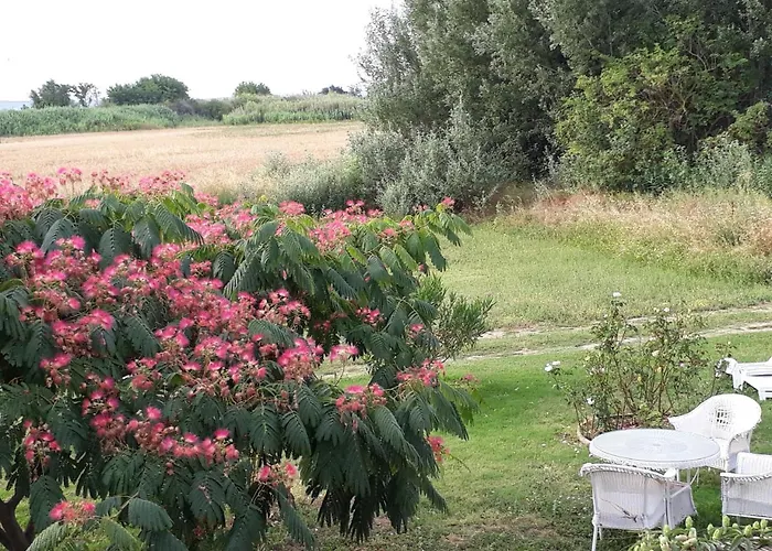 Aux Roses De L'etang