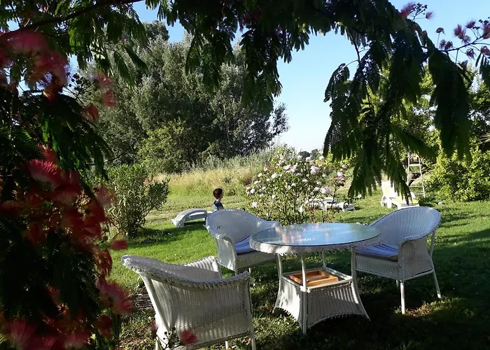 Aux Roses De L'etang