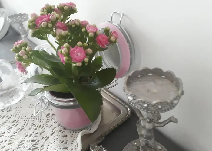 Aux Roses De L'etang Capestang