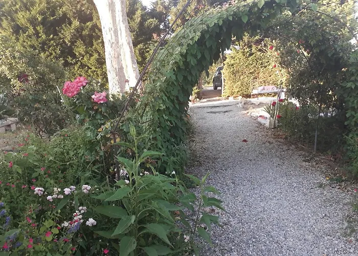 Aux Roses De L'etang