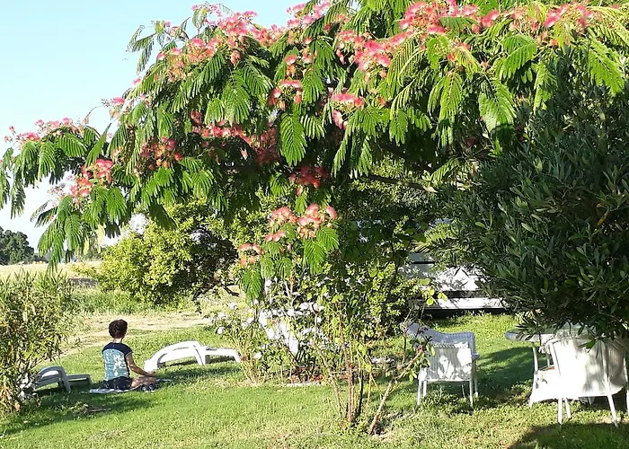 Πανσιόν Aux Roses De L'etang *