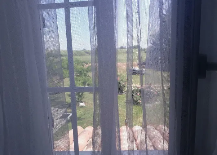 Aux Roses De L'etang * Capestang